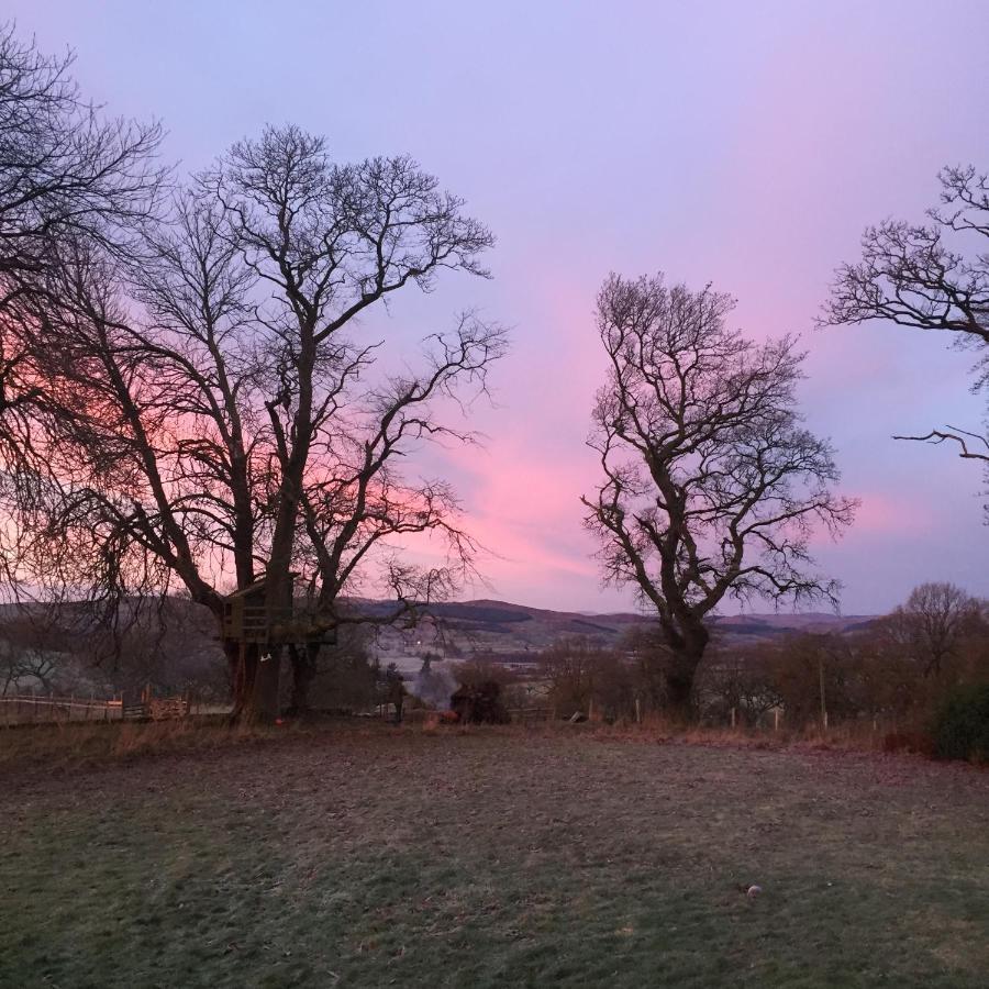 Willow Cottage, Gilchristland Organic Farm Holiday home Closeburn