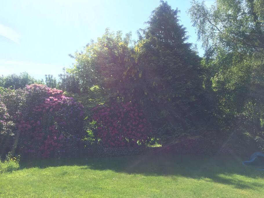 Willow Cottage, Gilchristland Organic Farm Holiday home Closeburn